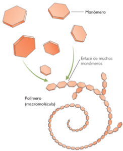 Polimerización